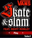 game pic for Vans Skate and Slam